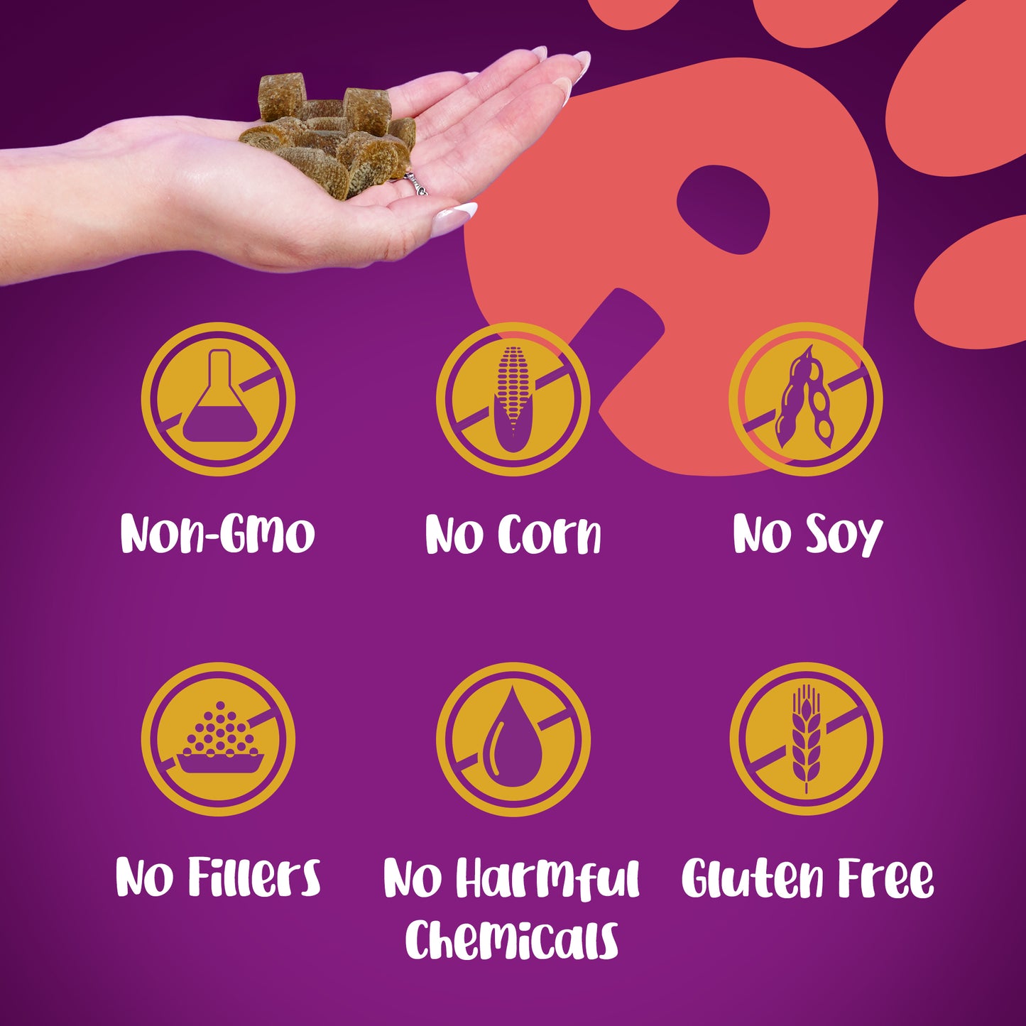 Allergy Defense Dog Supplement 120 Chews