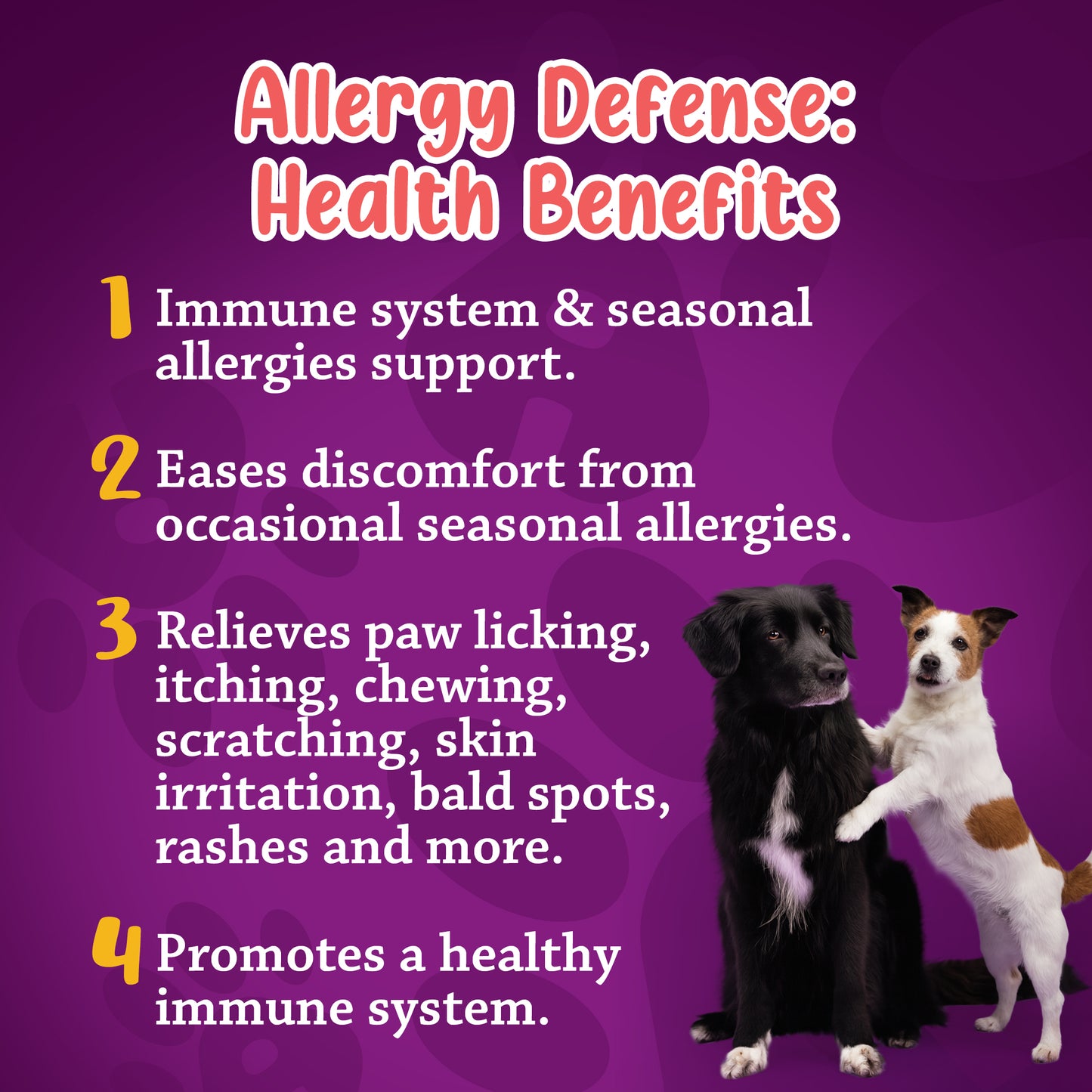 Allergy Defense 60 Chews Pouch