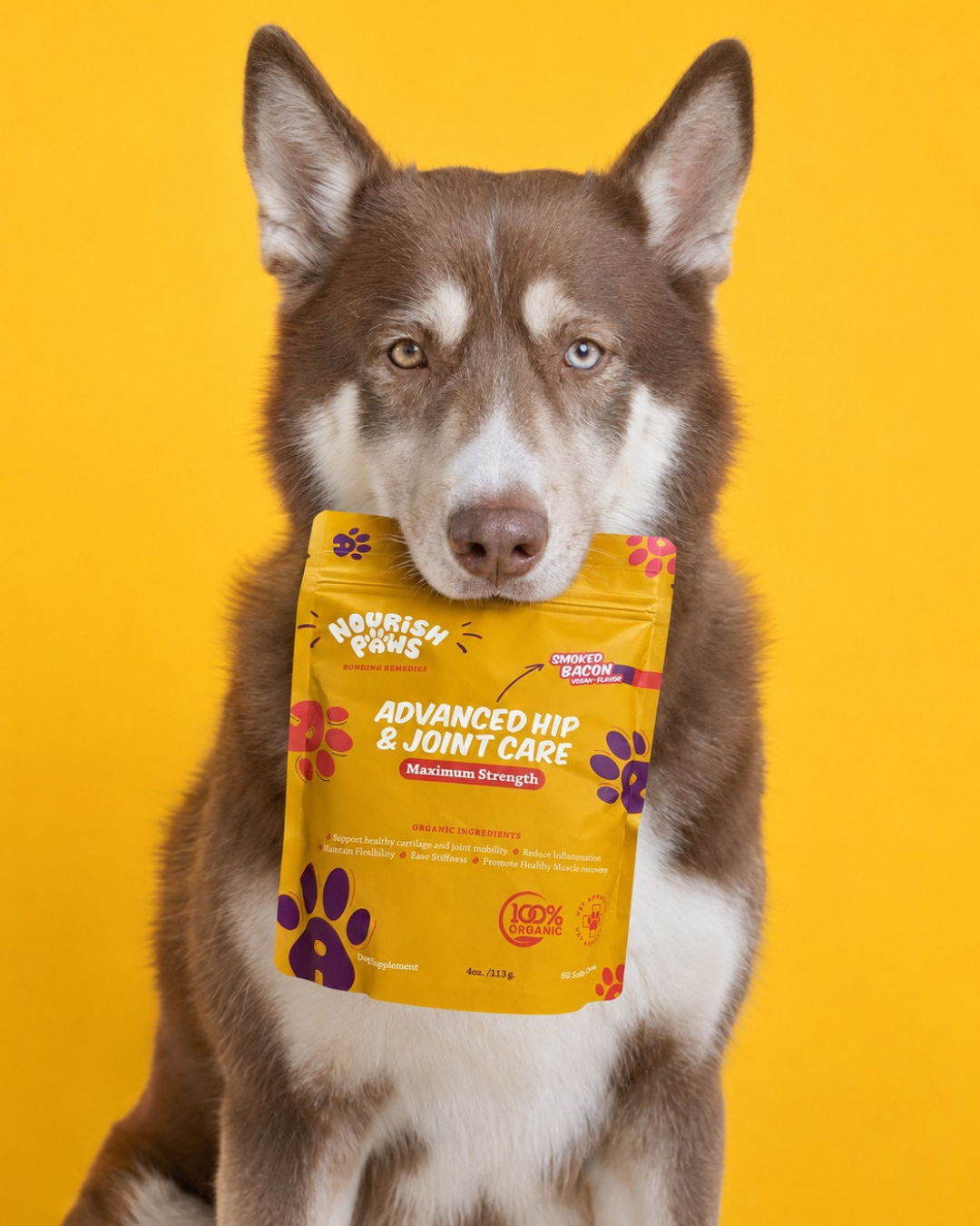 NEW! Organic Advanced Hip & Joint Care Dog Supplements: 60 Chews Pouch