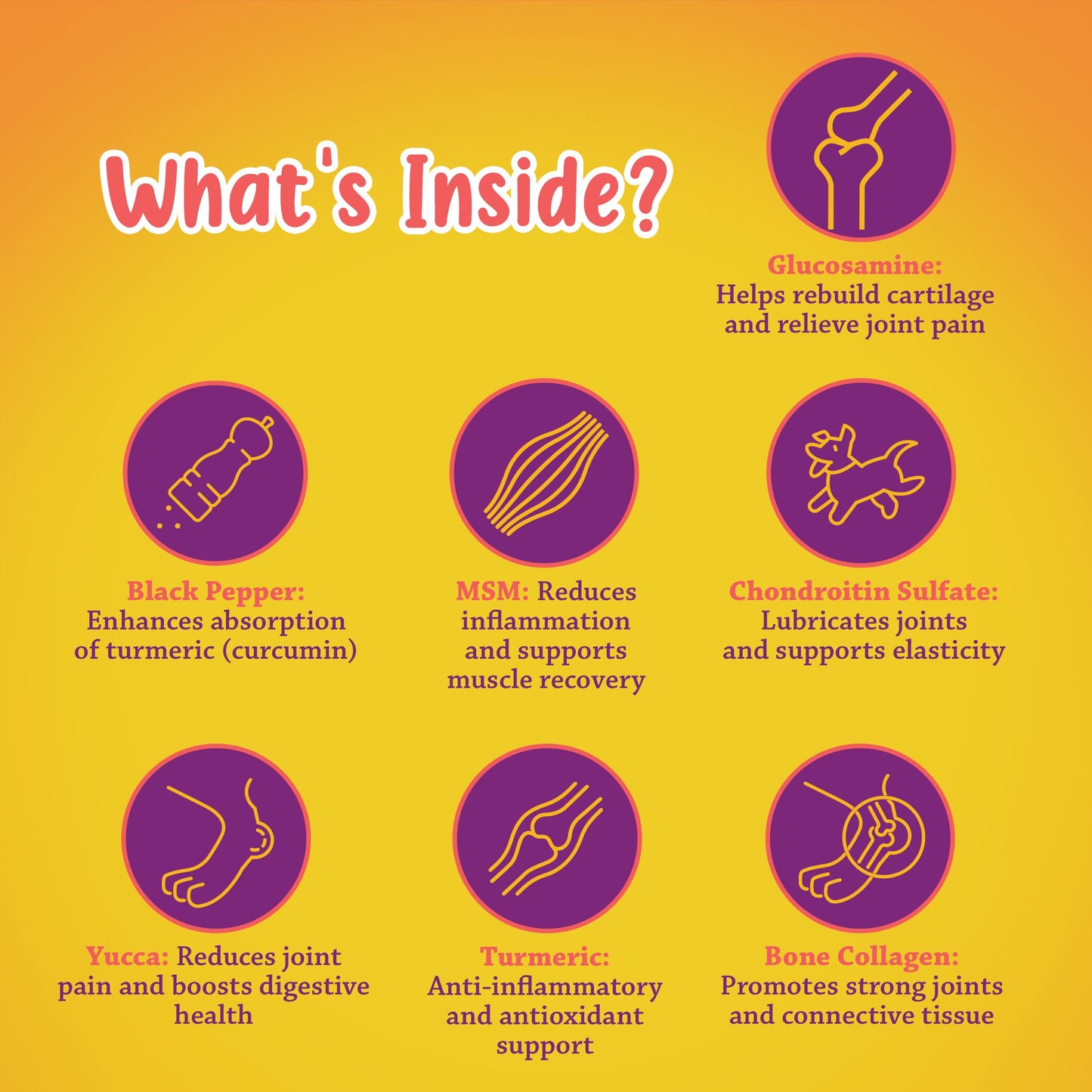 NEW LOOK: Organic Advanced Hip & Joint Care Dog Supplement 120 Chews