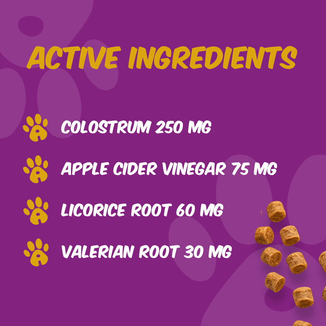 Allergy Defense Dog Supplement 120 Chews