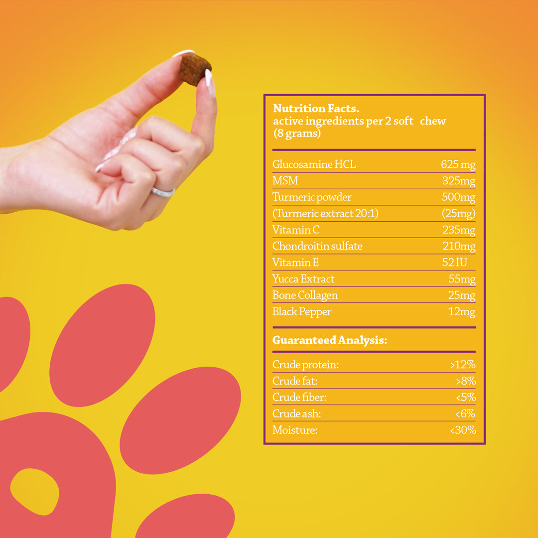 Advanced Hip & Joint Care Dog Supplement 60 Chews