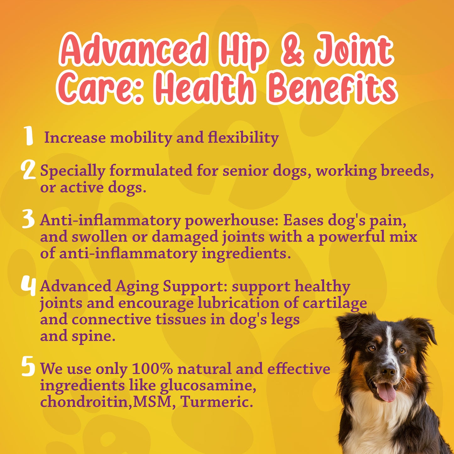 Advanced Hip & Joint Care Dog Supplement 60 Chews