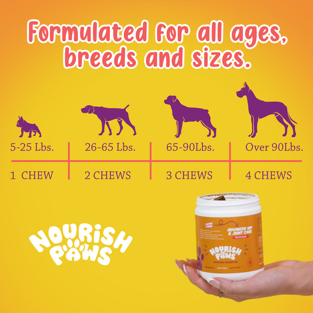 NEW LOOK: Organic Advanced Hip & Joint Care Dog Supplement 120 Chews